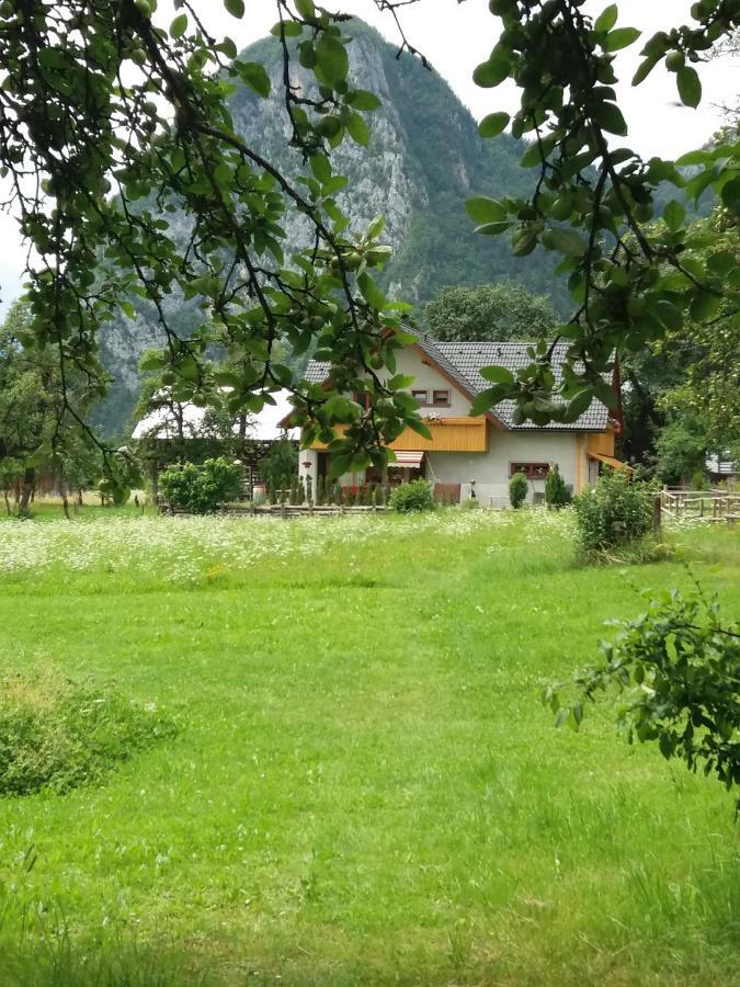 Apartma Bremec-Studio Bohinj Zewnętrze zdjęcie