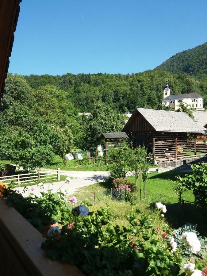 Apartma Bremec-Studio Bohinj Zewnętrze zdjęcie