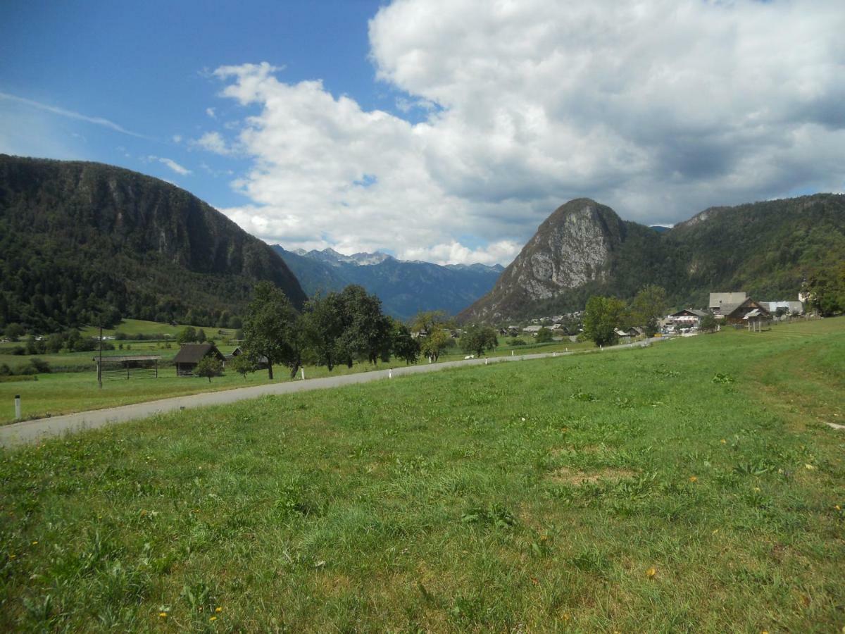 Apartma Bremec-Studio Bohinj Zewnętrze zdjęcie